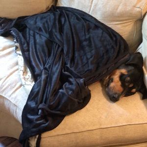 Meet your Posher, Katelyn